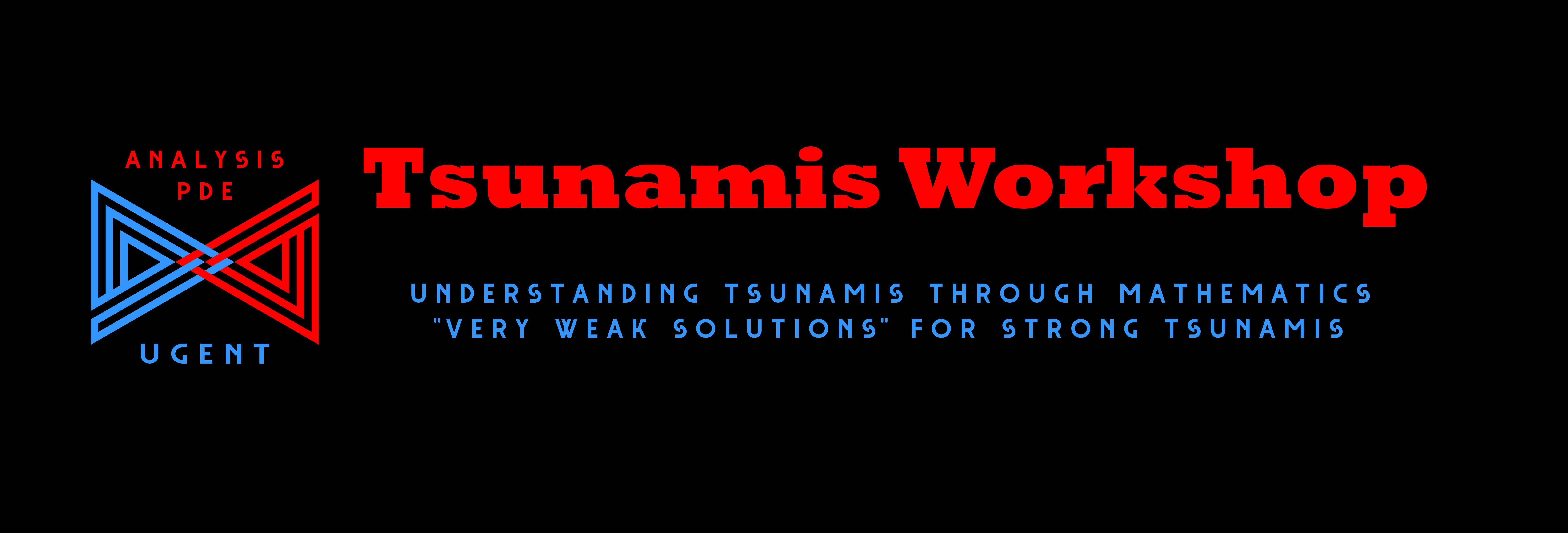 pde_tsu_workshop_black1